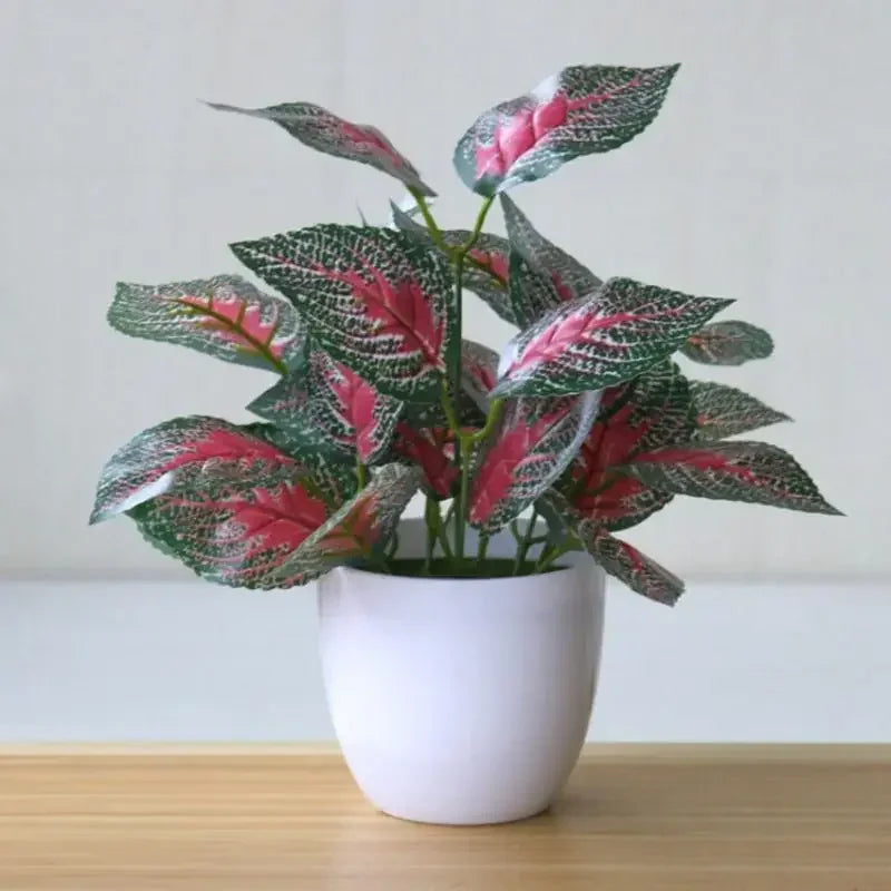 Bonsai Beauty