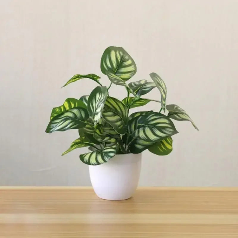 Bonsai Beauty
